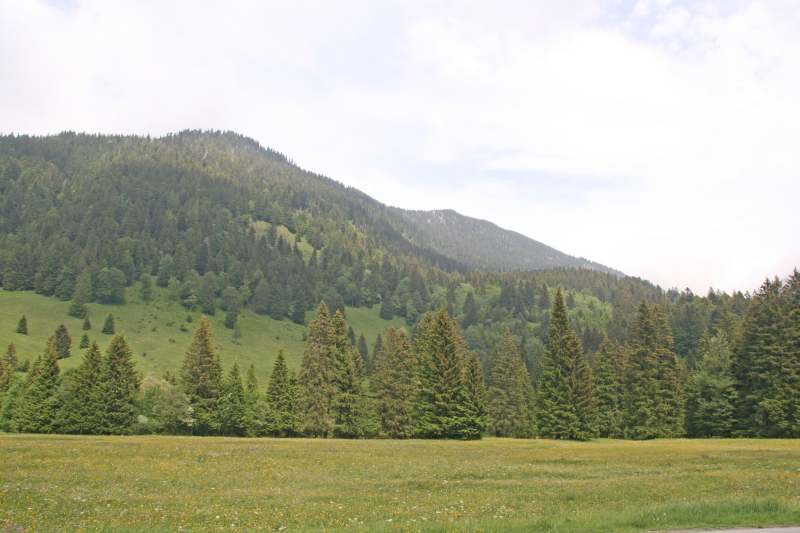 Neuschwanstein juni 2011 - 137